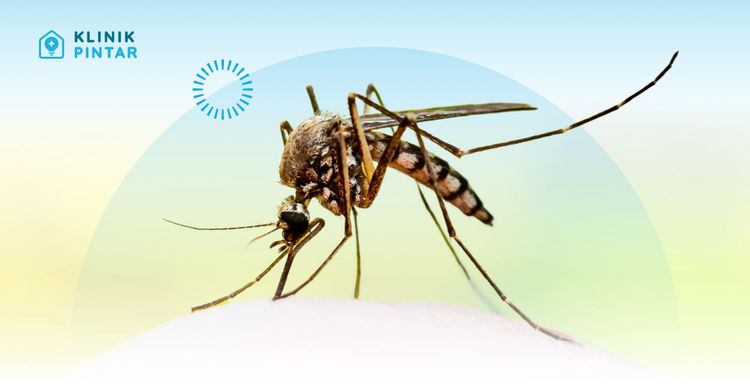 virus west nile